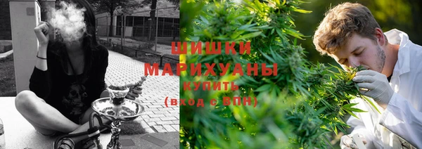 молекула духа Белокуриха