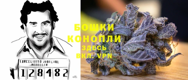 молекула духа Белокуриха