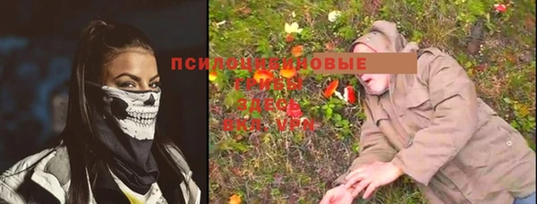 молекула духа Белокуриха