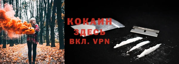 молекула духа Белокуриха