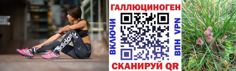 Псилоцибиновые грибы Psilocybe  Купить закладки  Онега 
